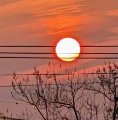 おはようございます?