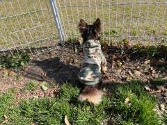 CLUB LUMINE(中津市) Haru【ハル】