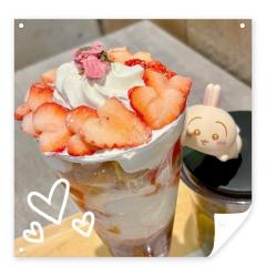 CLUB LUMINE Mashiro【ましろ】 好きなお店?