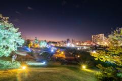 人妻24時 しずく こんばんは〜🌆