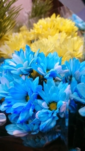 EXECUTIVE【都城本店】 ゆうり 無題