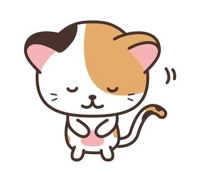 鹿児島ちゃんこ 霧島店 あんり ｡ﾟ(ﾟ´ω`ﾟ)ﾟ｡