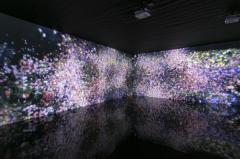 人妻24時　しずく