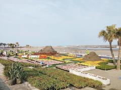 🐶流星さんぽ🐾