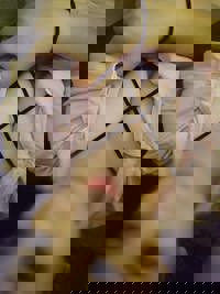 ウォーターゲート　