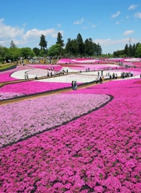待ちナビ　まお