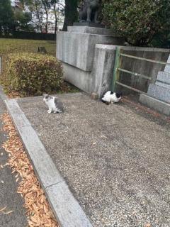 都城デリヘル ゲット24時間　あおい