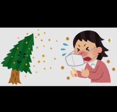 シングルママ　みはる☆可愛い癒し系