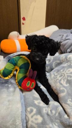 まよは18時出勤致します?