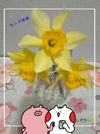 鹿児島ちゃんこ 霧島店　しずか