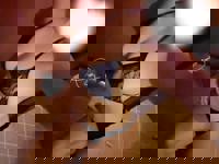 LOHAS(ロハス)　りん