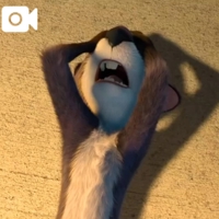 (( )ﾎﾟﾁﾎﾟﾁ*ﾟ