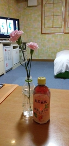 宮崎ちゃんこ都城店　なつこ