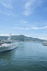 チュパチャップス　