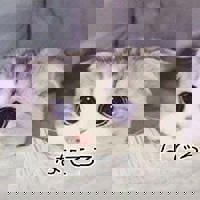 宮崎ちゃんこ中央通店　