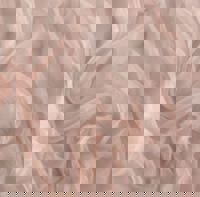 CLUB ULTRA　ほのか