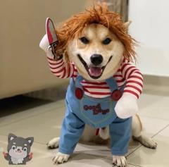 Midnight.Paradise〜真夜中の楽園〜(デリヘル) 夢♡ゆめ