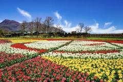 一夜の愛人　もか