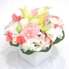 JaPON　真澄ﾏｽﾐ良い値コース！