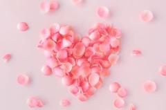 鹿児島ちゃんこ薩摩川内店　なな