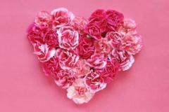 鹿児島ちゃんこ薩摩川内店　なな