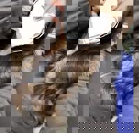 沖縄本舗　はな