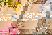 大人の遊園痴「スピーディー」　ライン会員登録QR