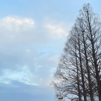 宮崎ちゃんこ都城店　