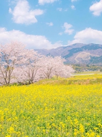 待ちナビ　まお