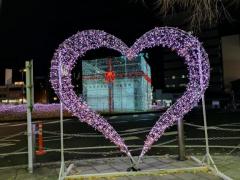 鹿児島ちゃんこ薩摩川内店　せいこ