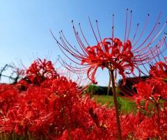 おかあさんといっしょ都城店(都城市・霧島市) るみこ★最高エロリスト