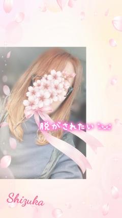 Madam  Cherish　しずか