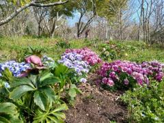 ぷにっ娘　ゆかいな電話番たち