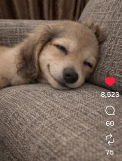 🐕️可愛すぎる〰️💖