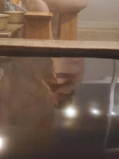 ぷにっ娘　紗子ｻｴｺ