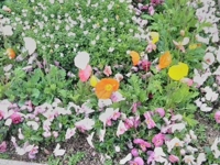 待ちナビ　てるみ