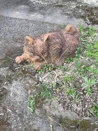 宮崎ちゃんこ都城店 都城市デリヘル うみ 写メ日記「昨日のお礼です！」