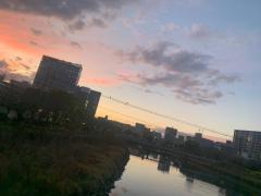 眠れない(´・ω・｀)