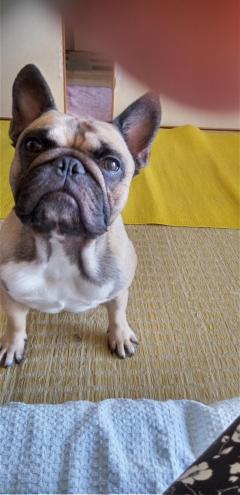 おかあさんといっしょ都城店(都城市・霧島市) るみこ★最高エロリスト