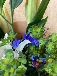 ありがとうございます