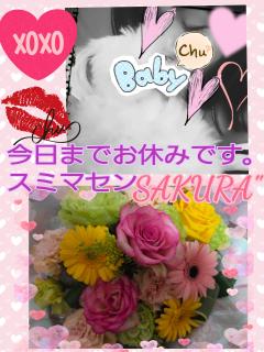 MICHELIN ミシュラン　サクラSakura