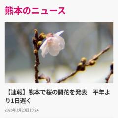 ?開花宣言?