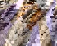 ありがとうございましたー(ﾉ∀ヾ*))