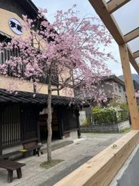 おはようございます！！