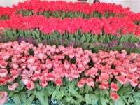 待ちナビ　てるみ