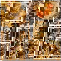 大人の遊園痴「スピーディー」 宮崎市デリヘル ゆう（美脚でスレンダー） 写メ日記「ありがとうございます！」