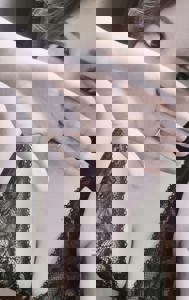 GO-KU(ゴクウ)　あおい