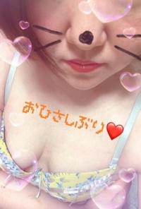 おひさしぶりです