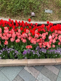 博多駅お待ち合わせのK様