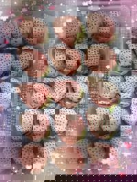 ホワイトストロベリー(^^)